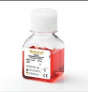 MethocultTM Express – Tiêu chuẩn vàng cho phát hiện các tế bào gốc máu.